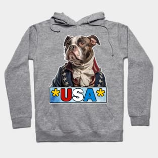 American Bully USA II Hoodie